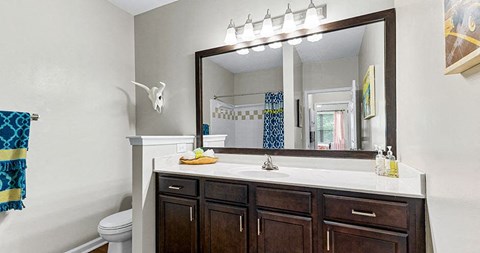 Park at Towne Lake | Woodstock, GA