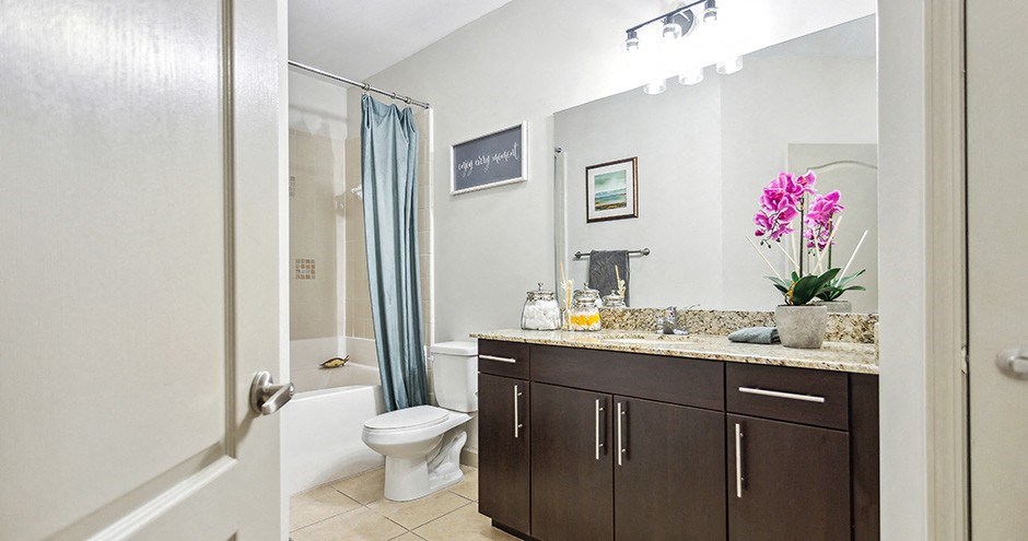 The Alexander At The District Apartments