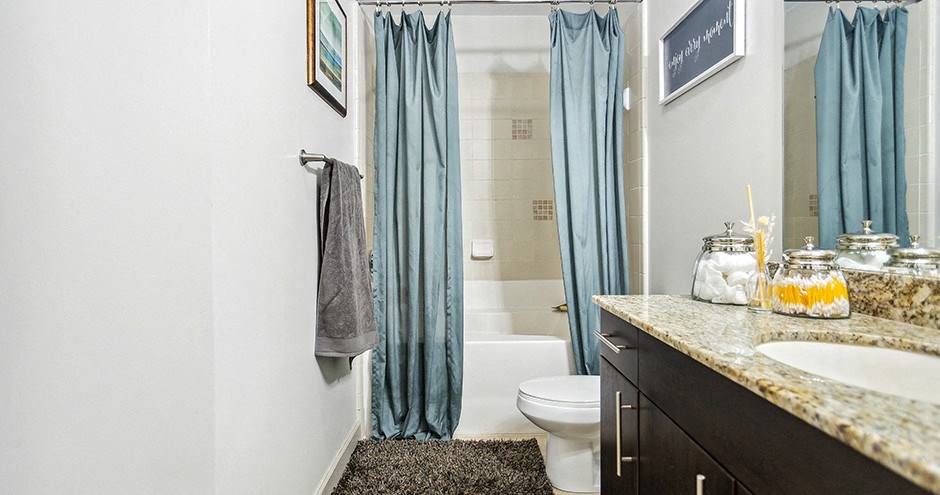 The Alexander At The District Apartments