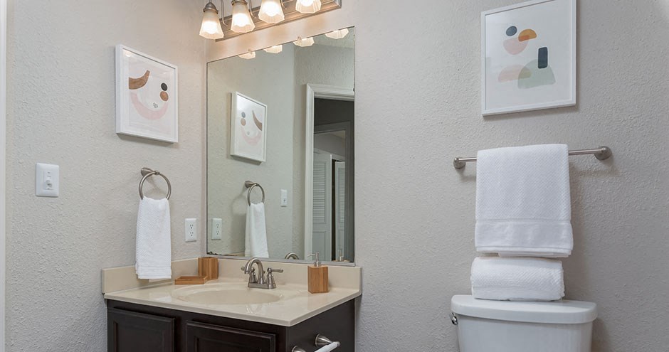 a bathroom with a toilet and a sink and a mirror