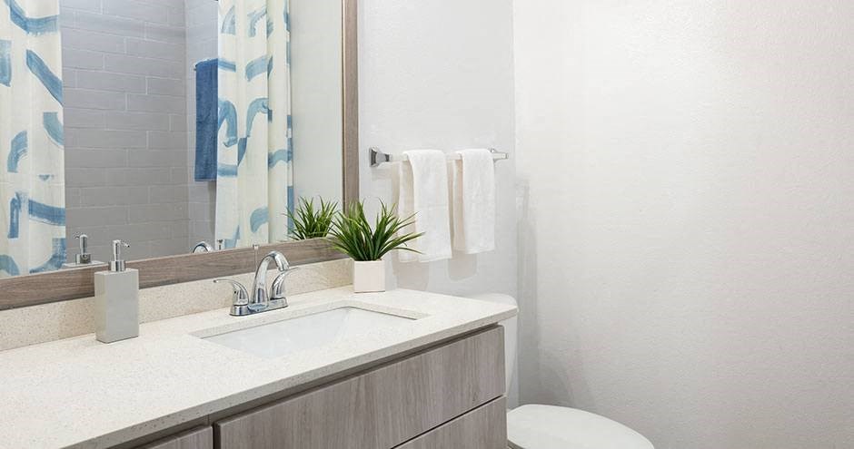 a bathroom with a sink and a mirror and a toilet