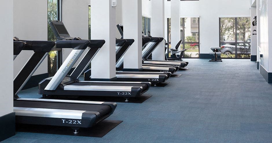 a row of cardio machines in a gym