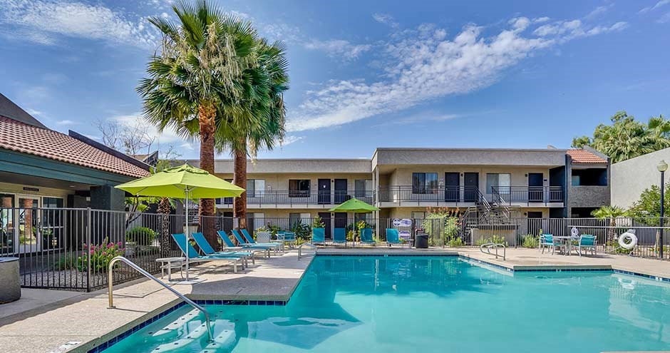 a swimming pool with chairs and a palm tree