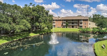 2409 South Conway Rd Studio-2 Beds Apartment for Rent - Photo Gallery 3