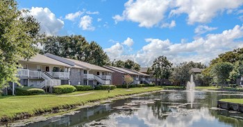 2409 South Conway Rd Studio-2 Beds Apartment for Rent - Photo Gallery 5