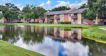 Courtney Cove Apartments | Tampa, FL - Photo Gallery 3