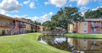 Courtney Cove Apartments | Tampa, FL - Photo Gallery 4