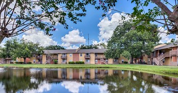 Courtney Cove Apartments | Tampa, FL - Photo Gallery 2