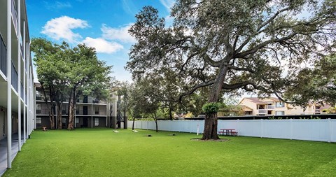 Promenade At Belleair Apartments