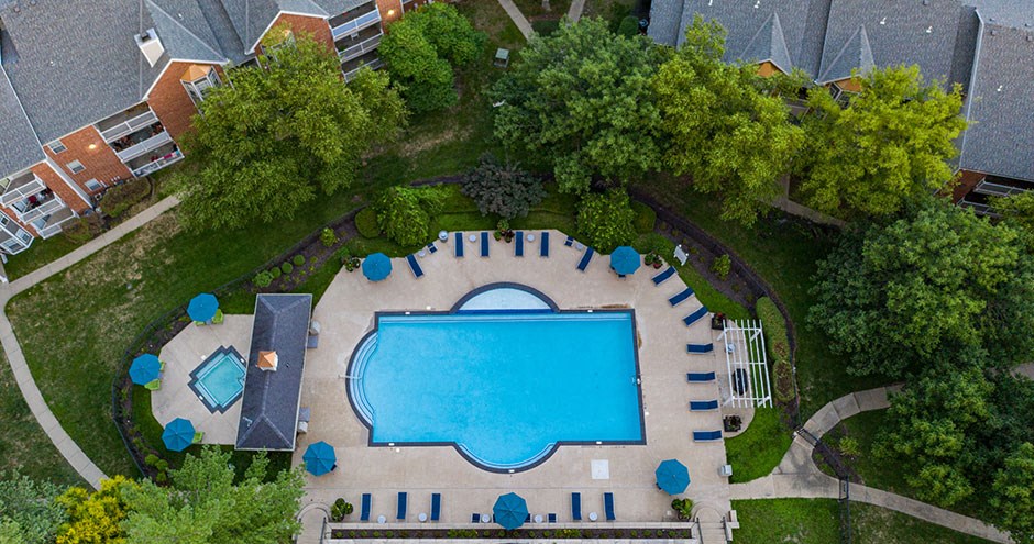 arial view of a swimming pool in a backyard with umbrellas