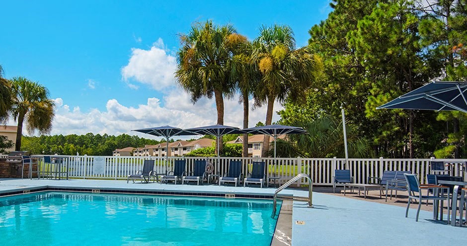 a swimming pool with chairs and umbrellas and palm trees