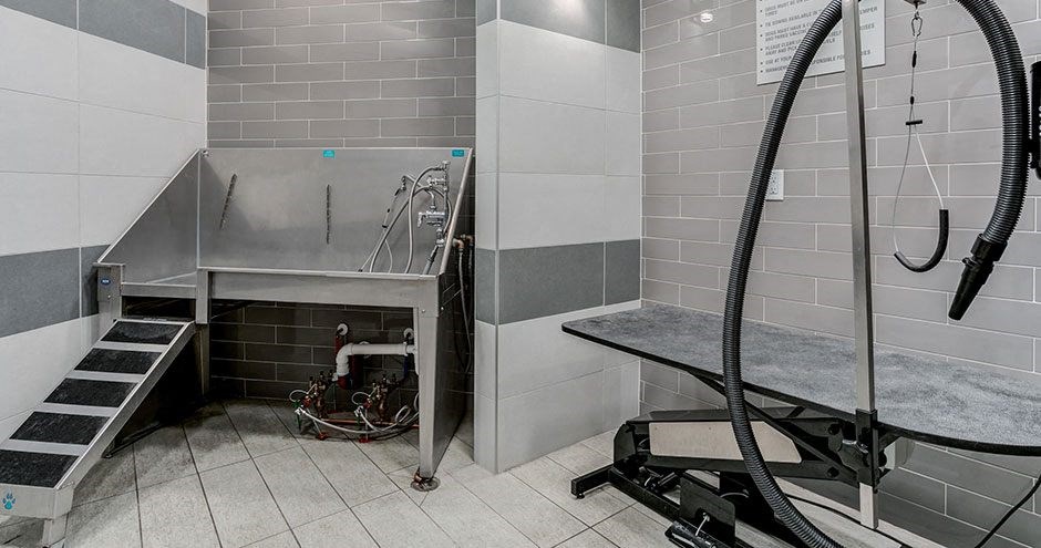 Cyan Southcreek | Overland Park, KS