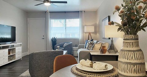 a living room with a table and a television