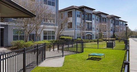 Aria at Millenia | Orlando, FL