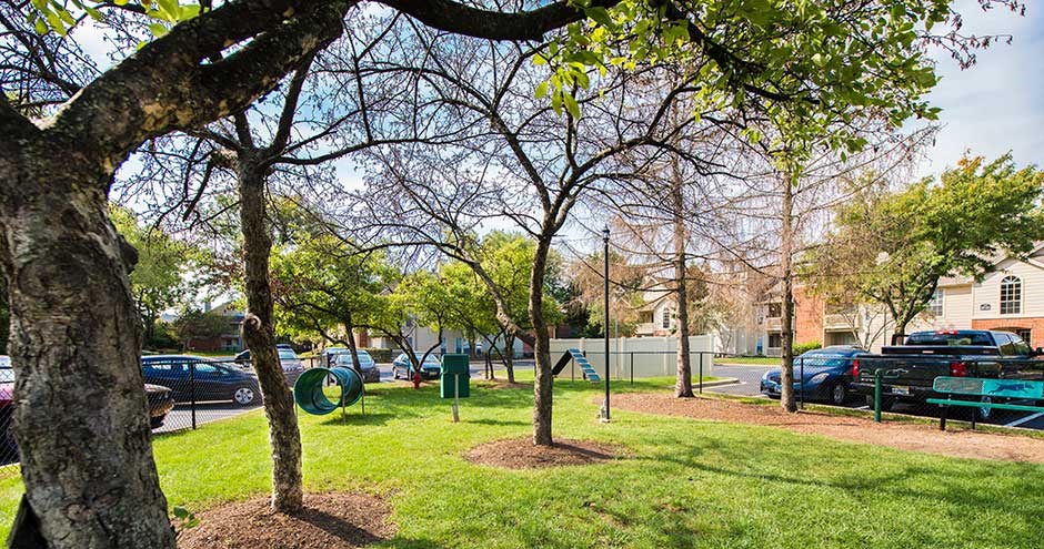 a park with trees and a bench in front of a building