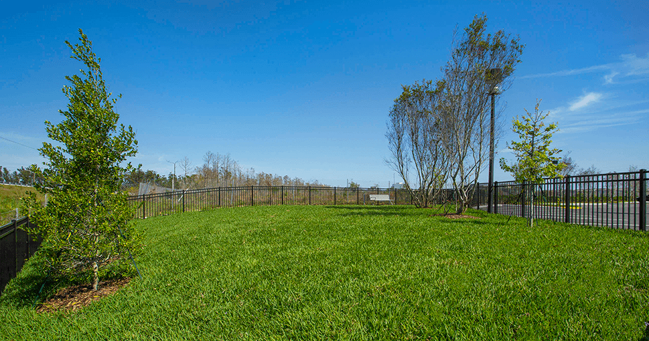 Aria at Millenia | Orlando, FL