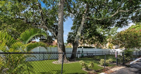 Promenade At Belleair Apartments