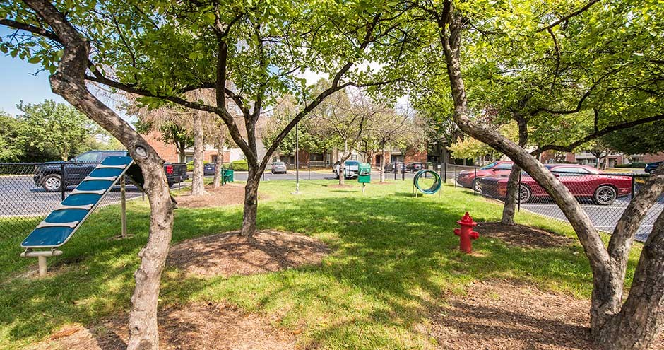 a park with a fire hydrant and a bench
