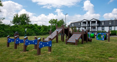 The Champion at Bluegrass | Lexington, KY