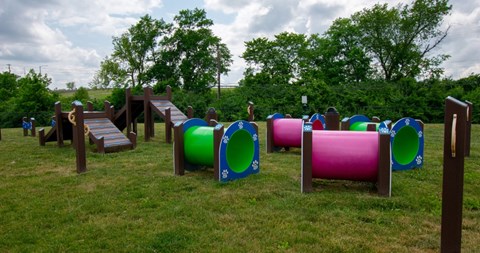 The Champion at Bluegrass | Lexington, KY