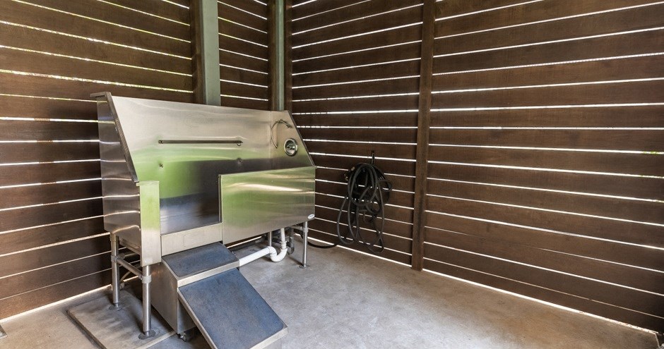 The Standard at Domain Northside | Austin, TX