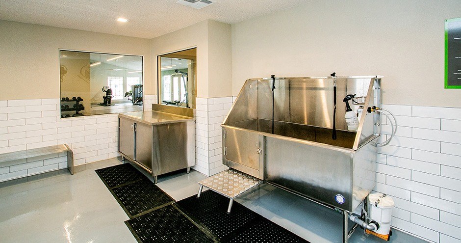 Bloom Apartment Homes