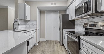 Newly Renovated Kitchen w/ Premium Finishes Elmsgate at Cliffside | Arlington, TX - Photo Gallery 3