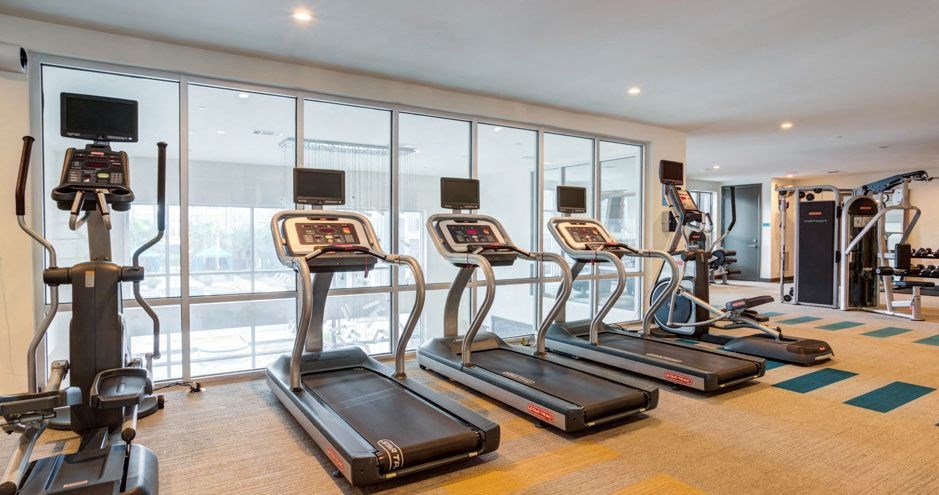 Everly Apartments | Houston, TX