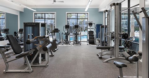 Aria at Millenia | Orlando, FL