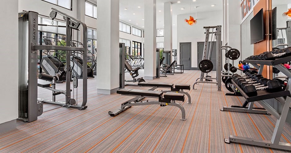 Hue on Greenhouse I Houston, TX