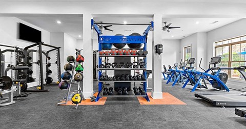 Park at Towne Lake | Woodstock, GA