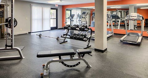 The Woods of Burnsville | Burnsville, MN