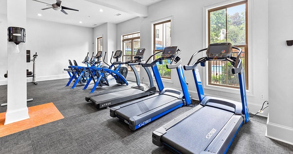 Park at Towne Lake | Woodstock, GA