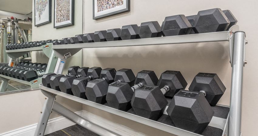 Lakeside At Wheaton Apartments