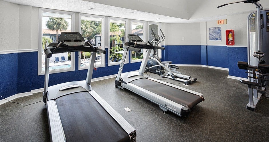 a gym with treadmills and ellipticals
