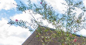 Fountain Square | Lakeland, FL Fountain Square | Lakeland, FL - Photo Gallery 3