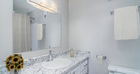 Grand Oaks Gurnee, IL  60031