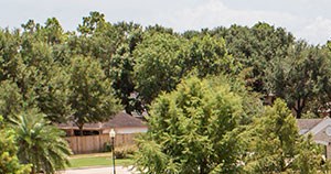 The Grand Parkway Apartments Pond, Katy, Texas The Grand Parkway Apartments Pond, Katy, Texas - Photo Gallery 3