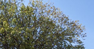 Indiana Village Apartments Lubbock Texas Indiana Village Apartments Lubbock Texas - Photo Gallery 4