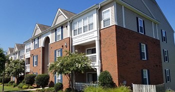 6601 Charmed Way 1-3 Beds Apartment for Rent - Photo Gallery 4