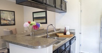 Kitchen Versailles Plano Apartments For Rent - Photo Gallery 3