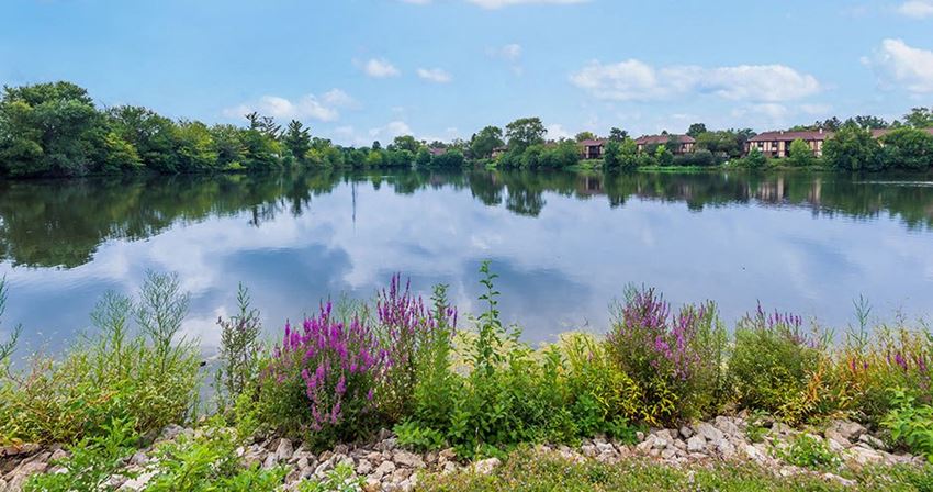 Lakeside At Wheaton Apartments