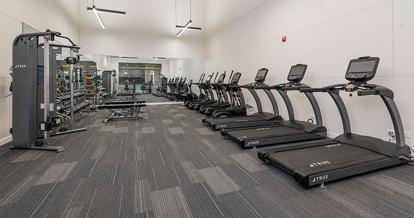 a row of cardio machines and weights in a gym