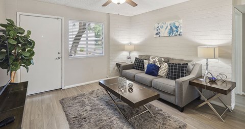 A living room with a grey couch and a rug.
