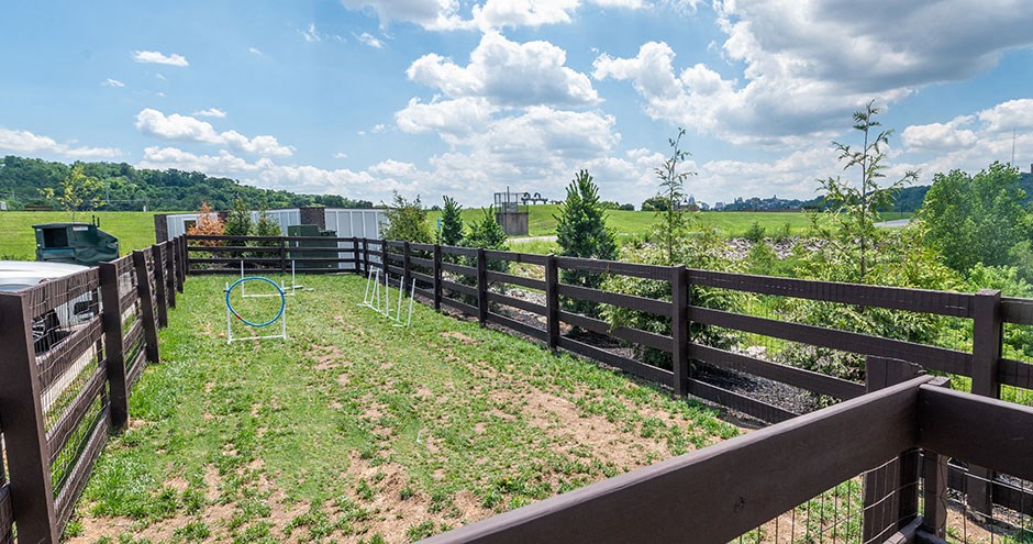 The Manhattan on the River| Dayton, KY