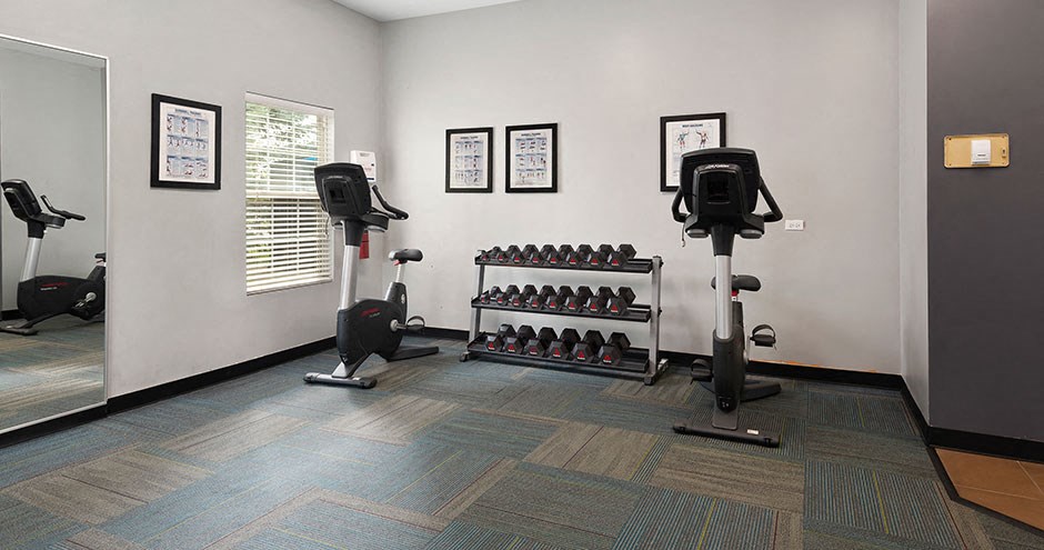 the gym in our new building has weights and other exercise equipment