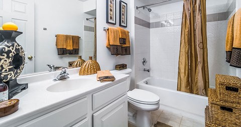a bathroom with a sink toilet and a shower