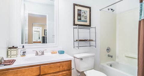 a bathroom with a sink toilet and a mirror