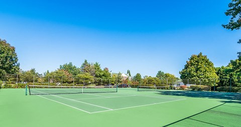 a tennis court with trees and a blue sky