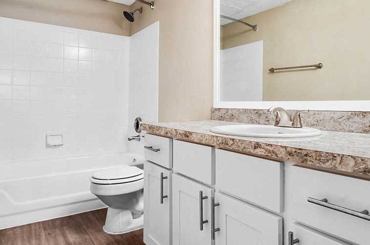 Premium Upgrade w/ Newly Renovated
